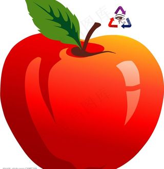 矢量苹果图片