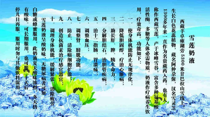 冰山雪莲海报免费下载cdr矢量模版下载