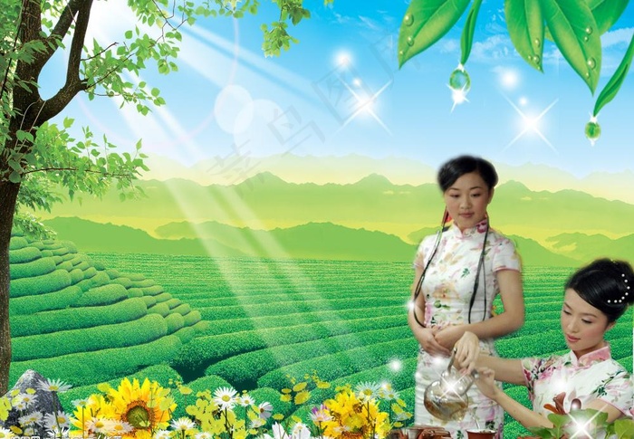 茶园图片(2000X1500(DPI:300))psd模版下载