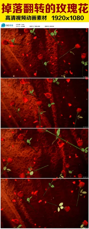 飘落的玫瑰花朵高清婚庆视频素材