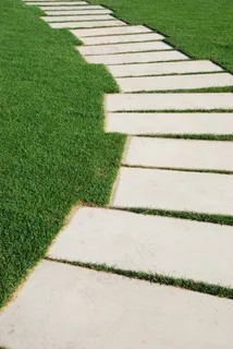 蛇形通道的石头在公园的草坪(概念) 蛇形通道的石头在公园的草坪(概念)