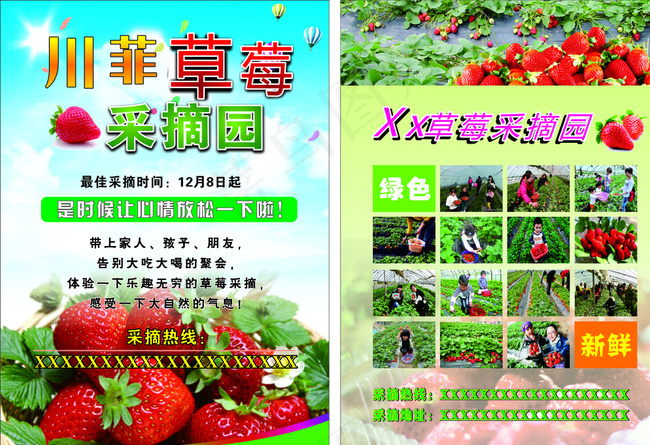 草莓采摘DM单图片