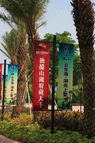 万科 佛山 天鹅湖 地产 别墅 欧...