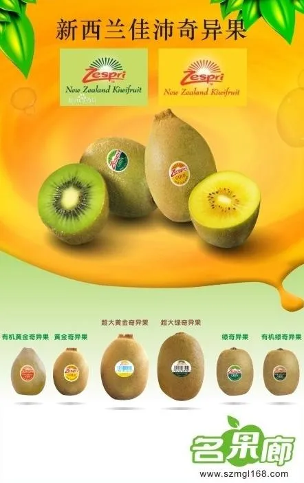 新西兰佳沛奇异果图片cdr矢量模版下载