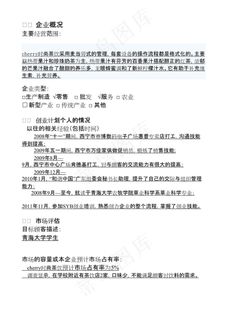 SYB创业计划书范文(茶饮服务业)