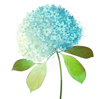 梦幻蓝色水粉画花卉绣球花梦幻蓝色水粉画花卉绣球花
