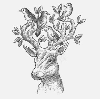 麋鹿素描头像素材