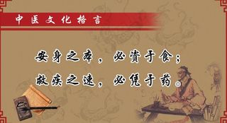 中医文化格言图片
