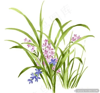 瓷器花纹PSD素材 30 瓷器花纹PSD素材 30