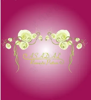 asadal梦幻美丽花边框18-欧...