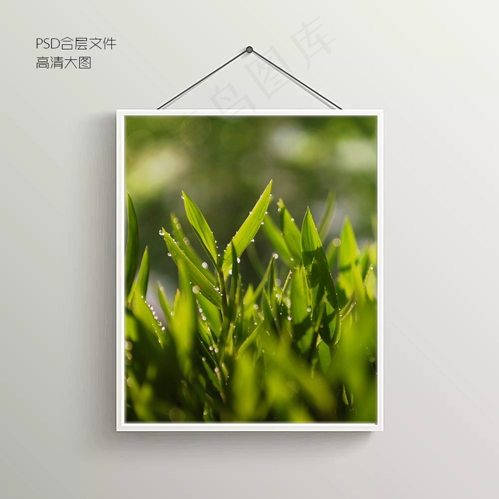 绿草摄影无框装饰画psd模版下载