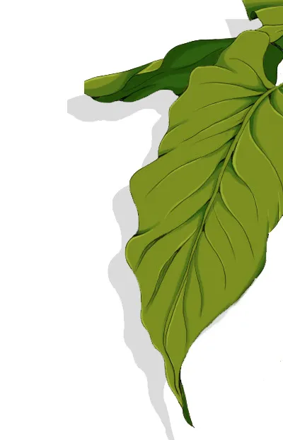 手绘植物绿叶psd源文件绿色树叶psd模版下载