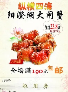 阳澄湖大闸蟹图片