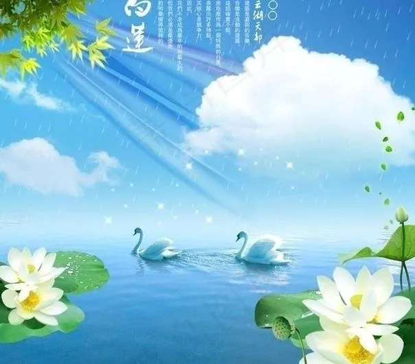 天鹅湖图片