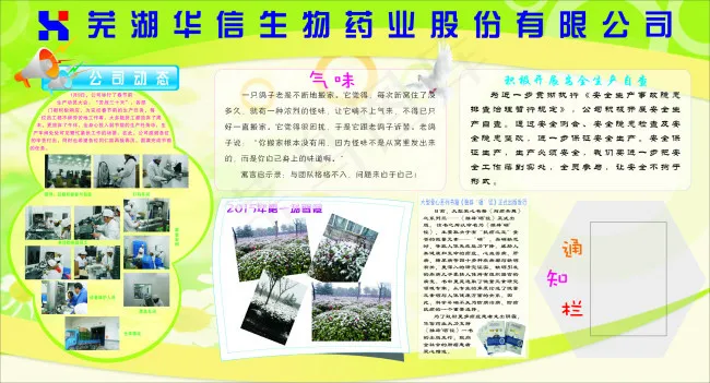 展板(500X500)cdr矢量模版下载