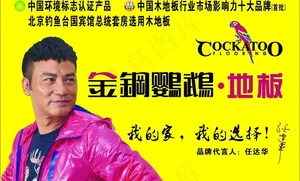 金钢鹦鹉地板图片