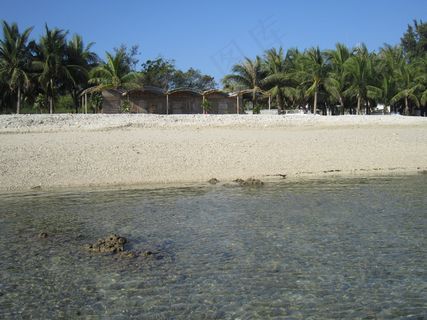 海滩椰林图片
