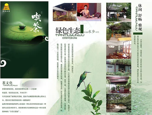 茶文化三折页psd模版下载