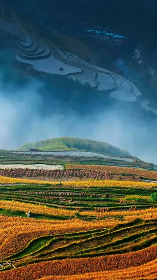 山上的稻田高清摄影图片