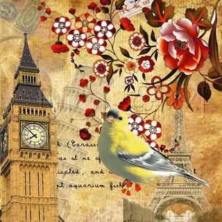 欧美复古花鸟图片 欧美复古花鸟图片