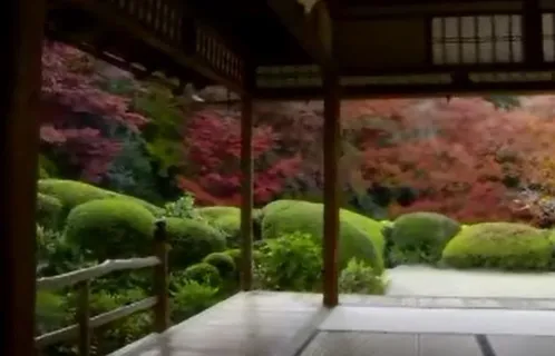 小区红叶花草树木实拍视频素材