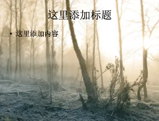 2012年冬日雪景摄影