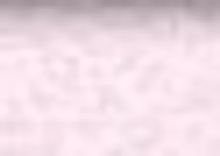 春夏秋冬模板图片