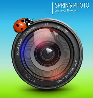 绿色 瓢虫 相机图片