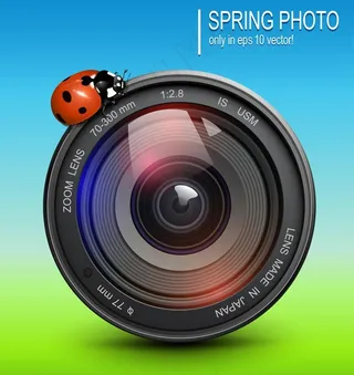 绿色 瓢虫 相机图片