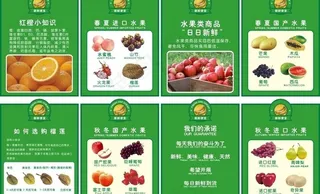 水果小知道图片