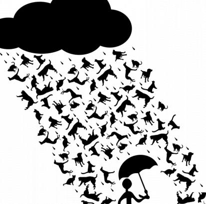 倾盆大雨