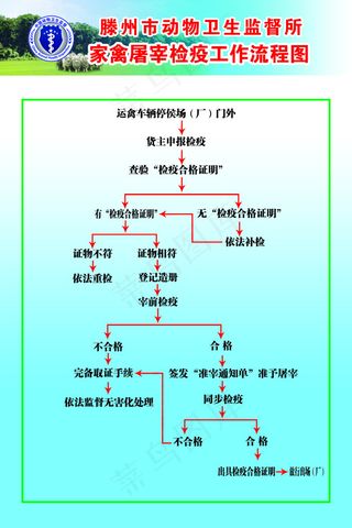 家禽屠宰工程流程图