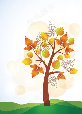 秋天的树