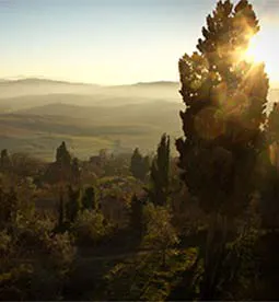 美国白宫建筑网站模板