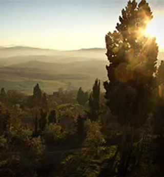 美国白宫建筑网站模板