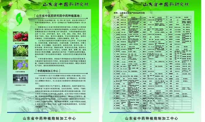 中医药单页图片ai矢量模版下载