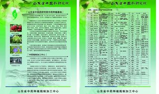 中医药单页图片