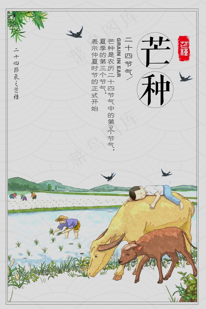 节气芒种海报下载