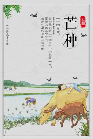 节气芒种海报下载