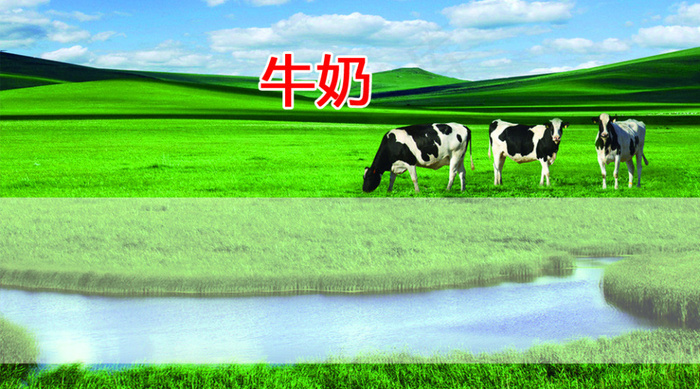 牛奶名片psd模版下载