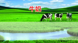 牛奶名片