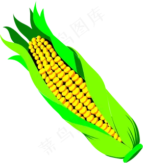 pannocchia DI GRA...