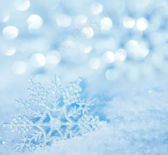 雪地雪花光斑背景图片