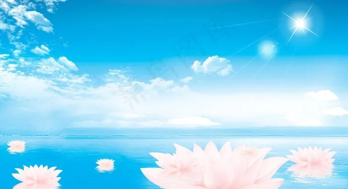 炫丽荷花背景图片(6000X3600(DPI:300))psd模版下载