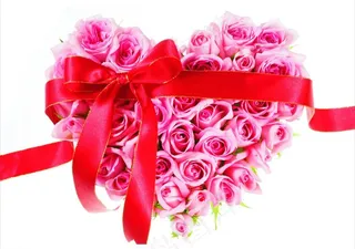 粉色玫瑰花 蝴蝶结图片