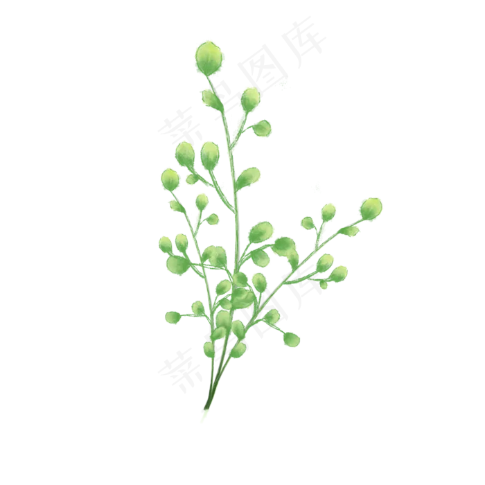 春天绿色植物发芽铜钱招财春日PNG(300 dpi)
