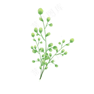 春天绿色植物发芽铜钱招财春日PNG