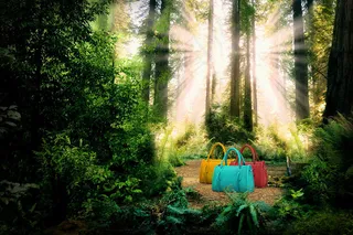 森林 包包 女包 女性用品 清新风...