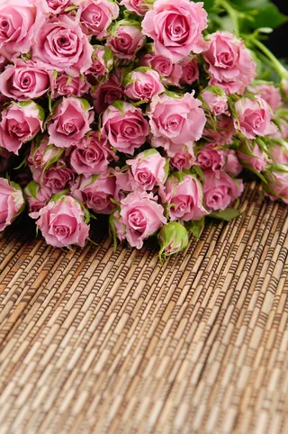 粉色玫瑰花静物设计素材