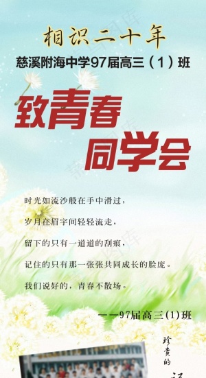 致青春